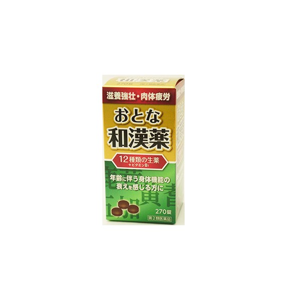 어른 와칸약 270정