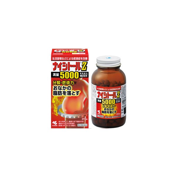 나이시토루Z 315정