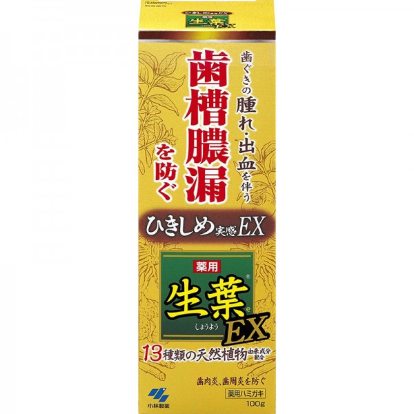 생엽 약용 치약 잇몸 조여주는 타입 ex 100g