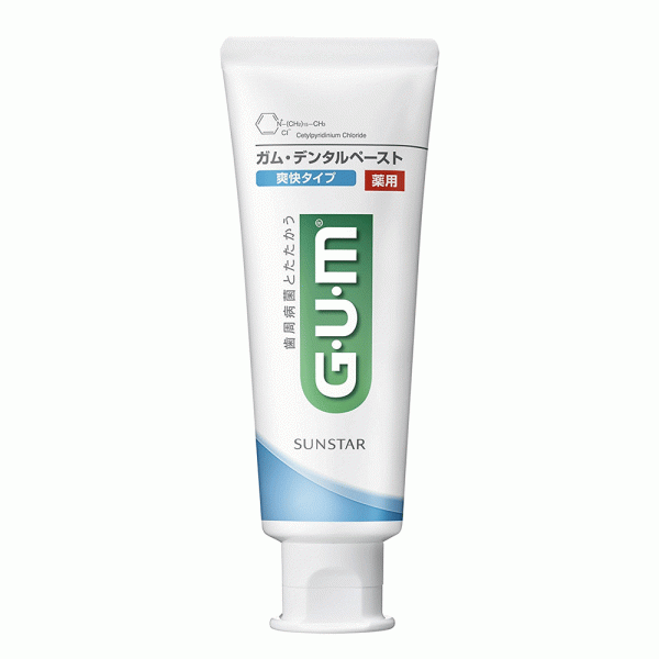 [GUM] 덴탈 페이스트 약용 ST 상쾌 치약 120g