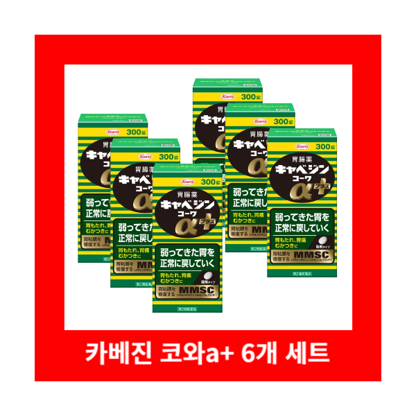 카베진 코와a+ 300정 6세트