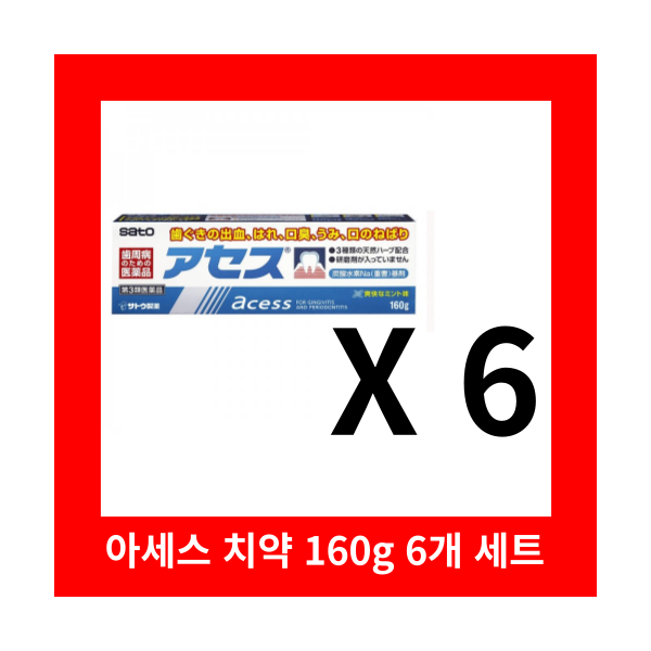 아세스 치약 (상쾌한민트)160g X 6개세트