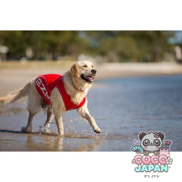이지독 EZYDOG 도그래쉬 가드 M 레드