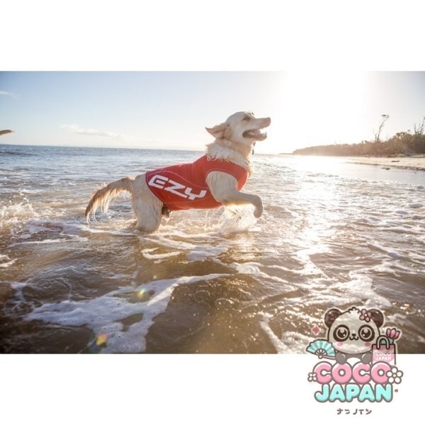 이지독 EZYDOG 도그래쉬 가드 M 레드