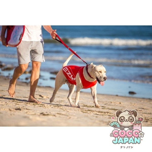 이지독 EZYDOG 도그래쉬 가드 M 레드