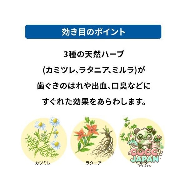 아세스 치약 EX 130g [치주병]