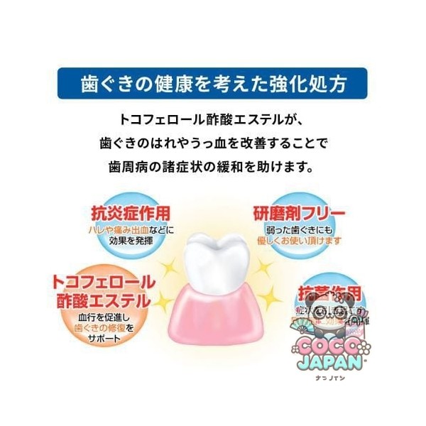 아세스 치약 EX 130g [치주병]