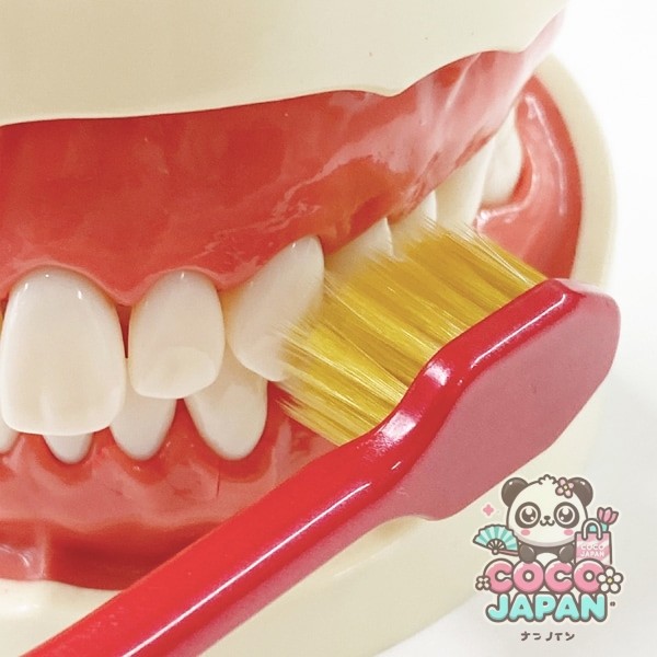 에비스 EBiSU 프리미엄 케어 칫솔 · 6 열 컴팩트 부드러운 B-3600S 1 개