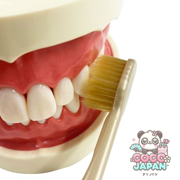 에비스 EBiSU 더 프리미엄 케어 8열 레귤러 보통 B-3621M 1개