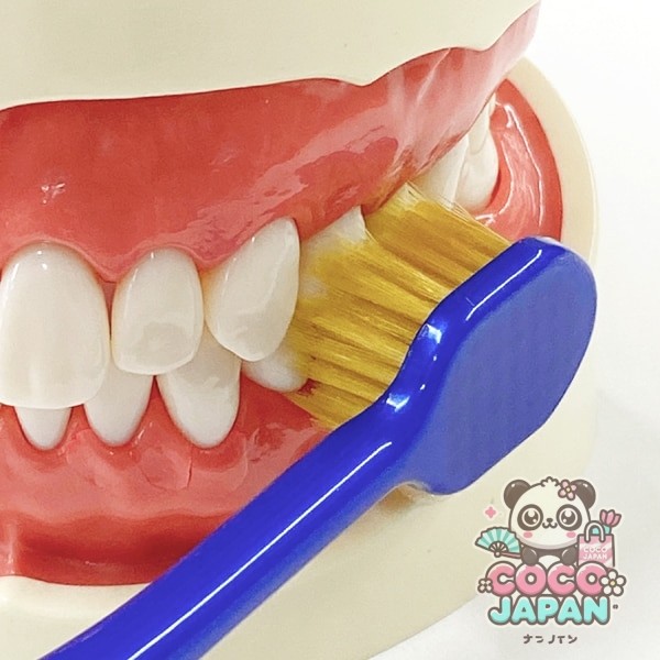 에비스 EBiSU 프리미엄 케어 허브러시・7열 레귤러 부드러운 B-3603S 1개