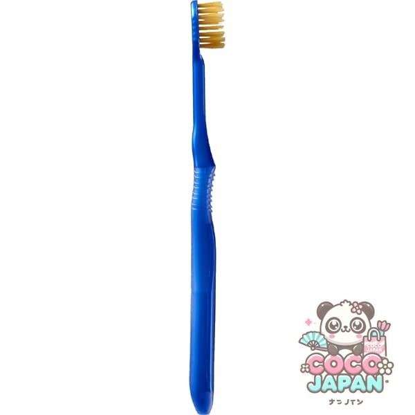 에비스 EBiSU 프리미엄 케어 허브러시・7열 레귤러 부드러운 B-3603S 1개