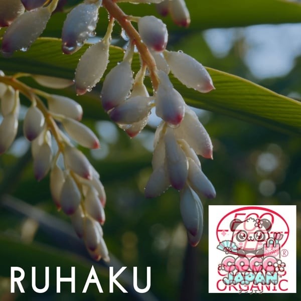류큐 RUHAKU 월 복숭아 리셋 클렌징 오일 S 150ml