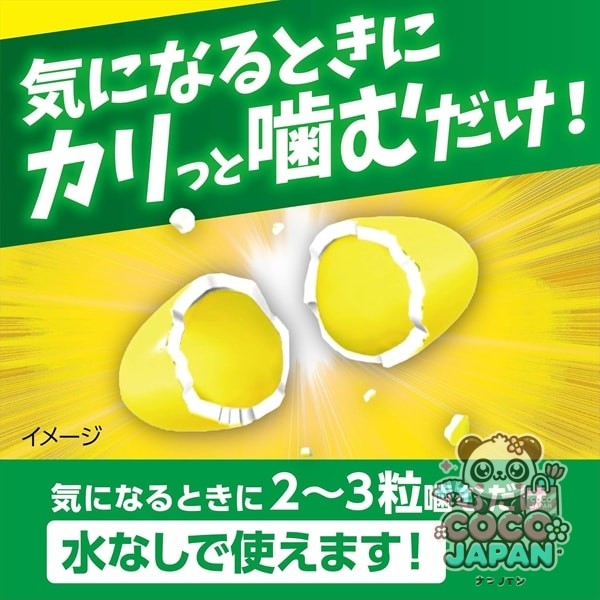 고바야시 브레스 케어 오렌지 25 알