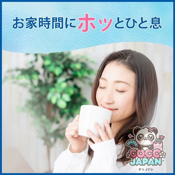 이토엔 원포트 말차 들어가는 녹차 티백 2.5 g×120봉투 유익 [티백]