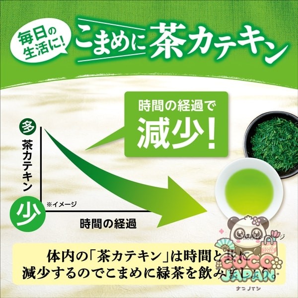 이토엔 원포트 말차 들어가는 녹차 티백 2.5 g×120봉투 유익 [티백]