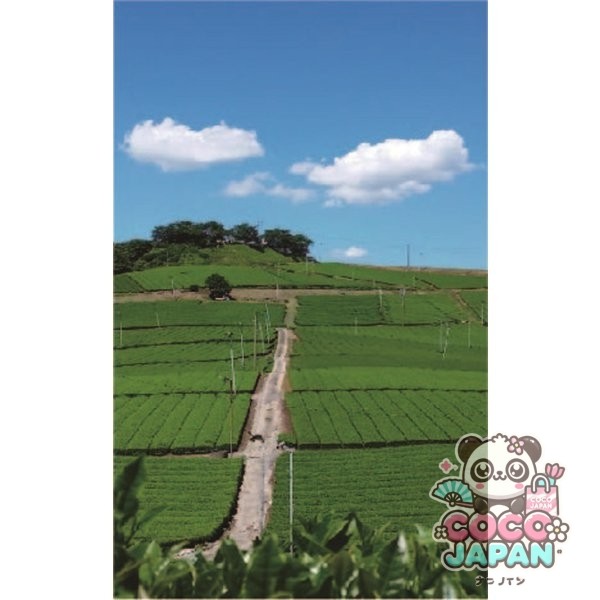 국태루 말차 들어가는 야메 차 삼각 티백 40봉지 80g