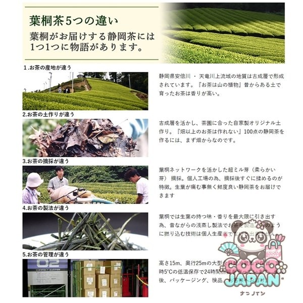 잎 오동나무 오동나무 야부키타 깊은 차 500g