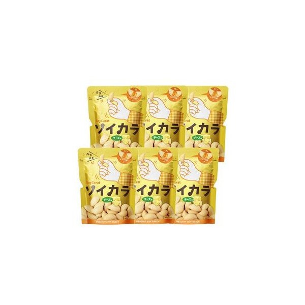 오츠카 제약 오츠카 소이카라 소이카라 치즈 맛 27g × 6