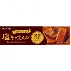 롯데 LOTTE 소금 캐러멜  10 마리