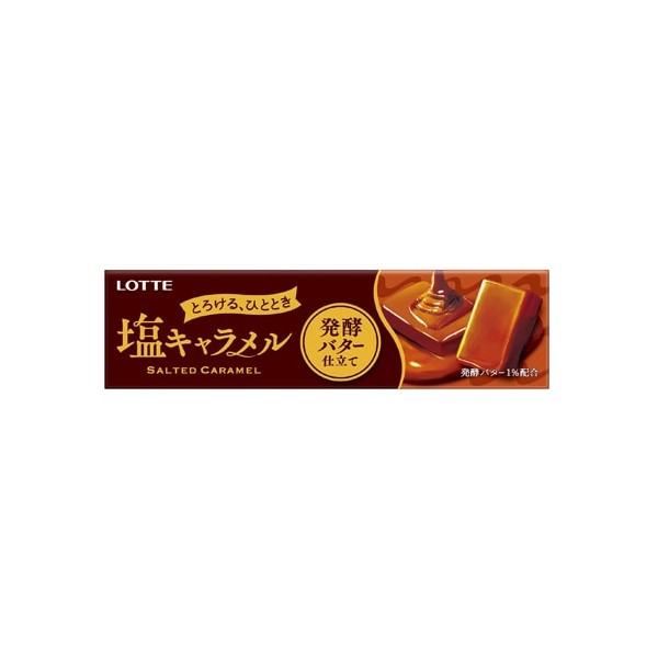 롯데 LOTTE 소금 캐러멜  10 마리
