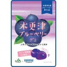 카네카 식품 키사라즈 블루베리 구미 라브레 유산균입 40g
