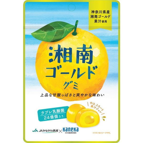 카네카 식품 쇼난 골드 거미 러블레 유산균 입 40g