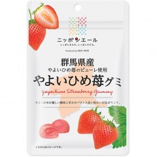 JA 전농 일본 에일 군마현산 야요이 히메 딸기 구미 40g