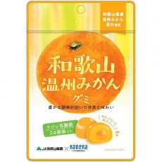카네카 식품 와카야마 온슈 귤 구미 라브레 유산균 입 40g