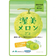 가네카 식품 아부미 멜롱미 러브레 유산균입 40g