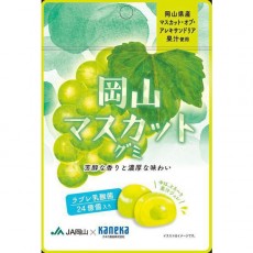 카네카 식품 러브 레구미 시리즈 오카야마 무스카트 구미 라브레 유산균 입 40g