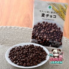 패밀리마트 무기 초코 65g 일본 편의점 간식 군것질
