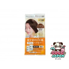 다이소재팬 DAISO 헤어 컬러 NB5까지