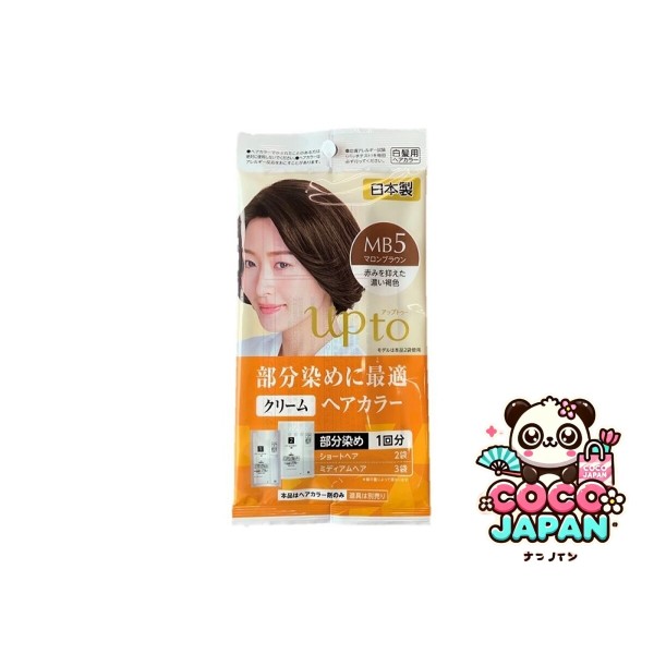 다이소재팬 DAISO 헤어 컬러 NB5까지