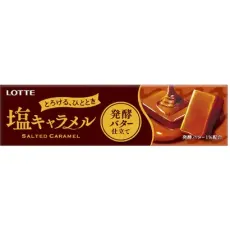 롯데 LOTTE 소금 캐러멜  10 마리