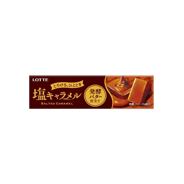 롯데 LOTTE 소금 캐러멜  10 마리