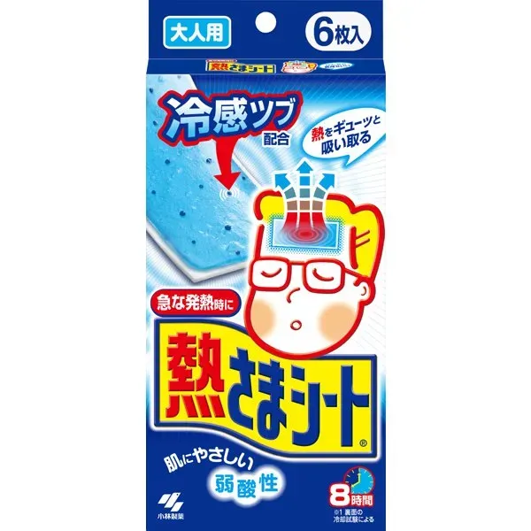 고바야시 제약 핫 시트 시트 핫 시트 냉각 시트 어른용 6장