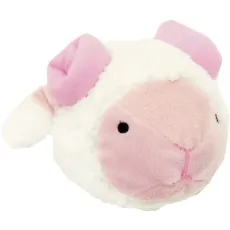 펫 루트