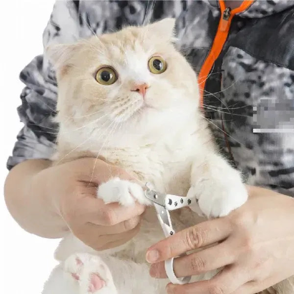 고양이 스트레스없이 빠져 나오는 고양이 손톱