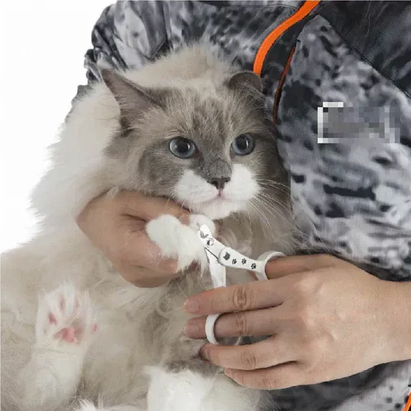 고양이 스트레스없이 빠져 나오는 고양이 손톱