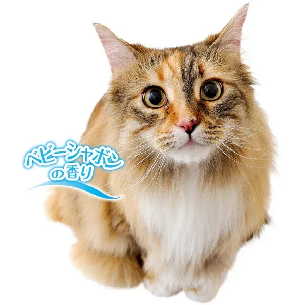 페티오 Petio Petz 스마일 피부 친화적 인 아미노산 배합 샴푸 전체 고양이 종용 350mL