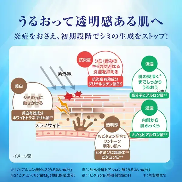 로트 제약 ROHTO 하다라보 백윤 프리미엄 약용 침투 미백 화장수 리필 170ml