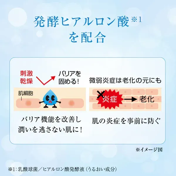 로트 제약 ROHTO 하다라보 극윤 히알루 론 유액 리필