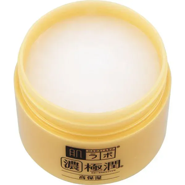 로트 제약 ROHTO 하다라보 극윤 퍼펙트 겔 100g [올인원 겔]