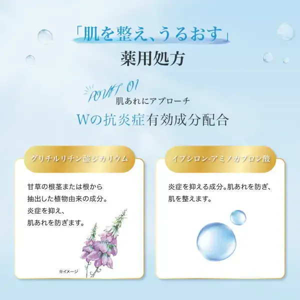 로트 제약 ROHTO 하다라보 극윤 약용 스킨 컨디셔너 리필 용 [화장수]