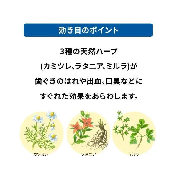 아세스 치약 EX 130g [치주병]