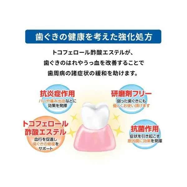 아세스 치약 EX 130g [치주병]