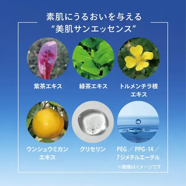 시세이도 SHISEIDO 아네사 ANESSA 아네사 퍼펙트 UV 스킨케어 밀크 NA 60ml SPF50+/PA++++ [선스크린 얼굴·몸용]