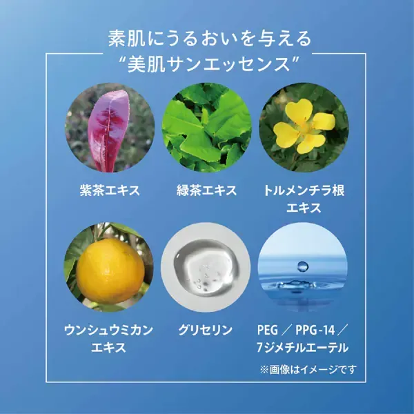 시세이도 SHISEIDO 아네사 ANESSA 아네사 퍼펙트 UV 스킨케어 젤 NA 90g SPF50+/PA++++ [선스크린 얼굴·몸용]