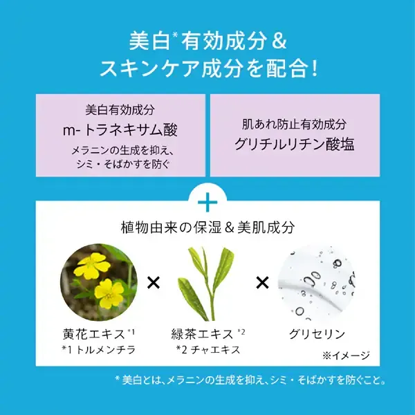 시세이도 SHISEIDO 아네사 ANESSA 아네사 브라이트닝 UV 젤 N 90g SPF50+/PA++++ [선스크린 얼굴·몸용]