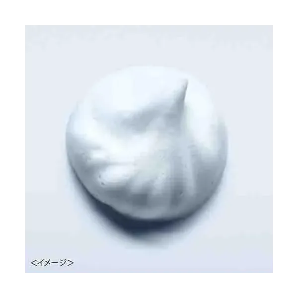 수이사이 뷰티 클리어 파우더 워시 N 15개